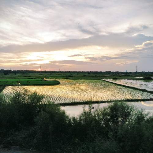 Photo #10874124