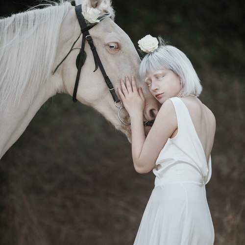 Фотография #10874185