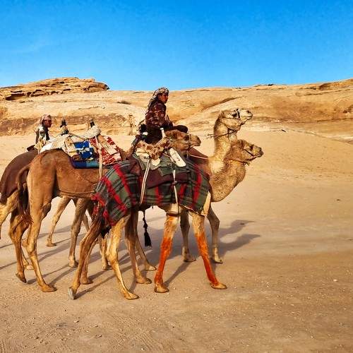 Photo #10874364