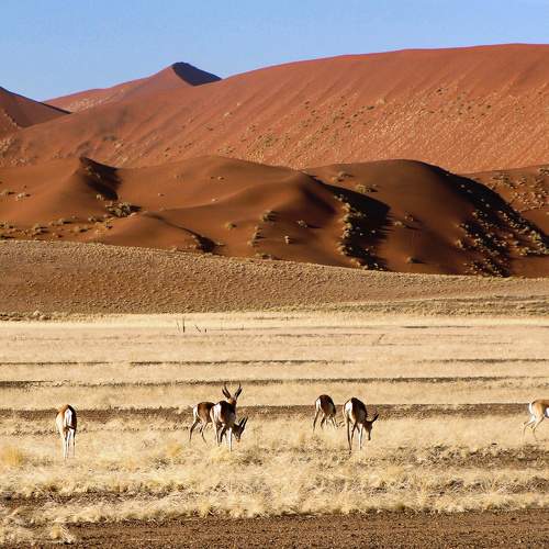 Photo #10874365