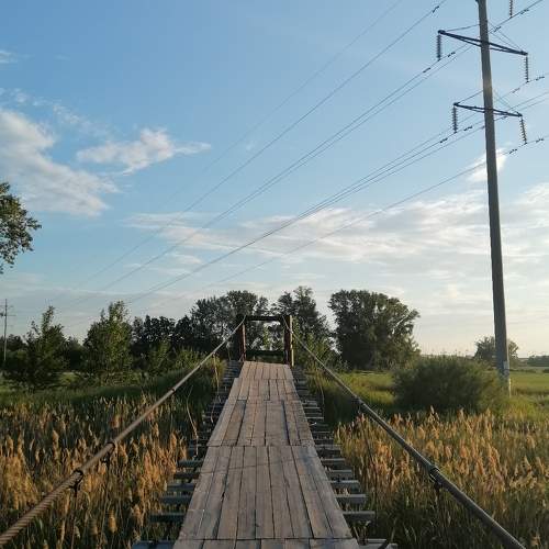 Photo #10874377