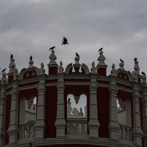 Photo #10874608