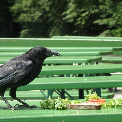 Photo #10874609