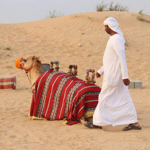 Photo #10874837