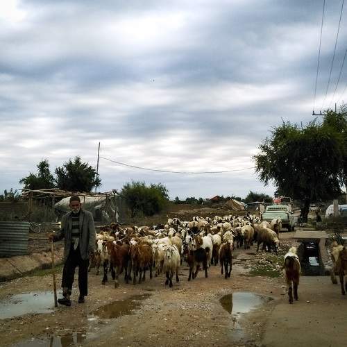 Photo #10874963