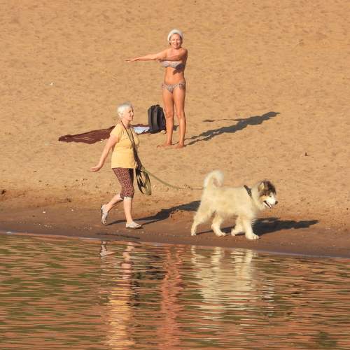 Photo #10875498