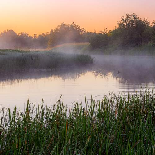 Photo #10876052