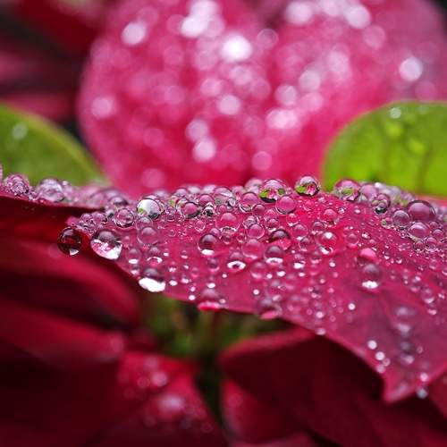 Photo #10876353