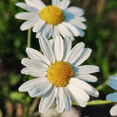 Photo #10876389