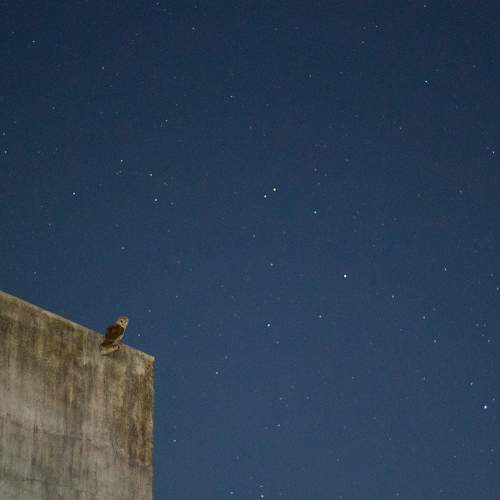 Photo #10876521