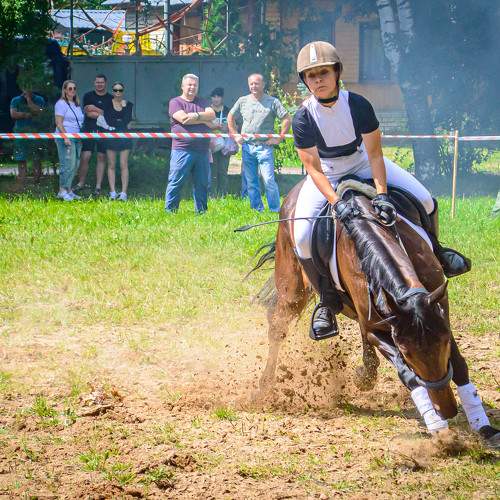 Photo #10876788