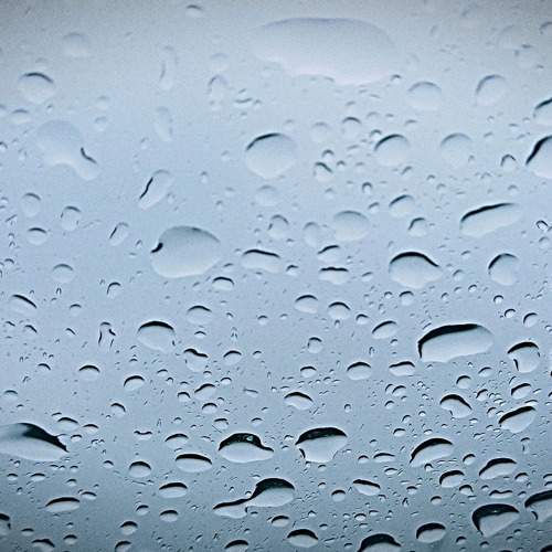 Photo #10877166