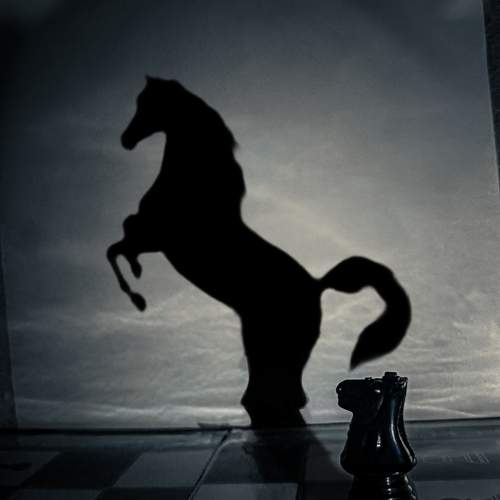 Illuminating shadows