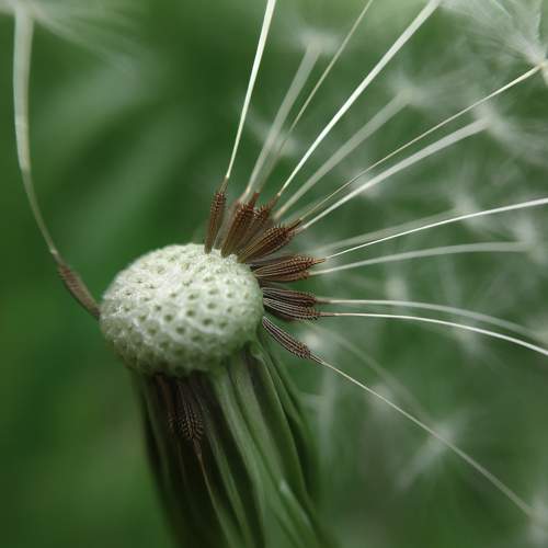 Photo #10877577