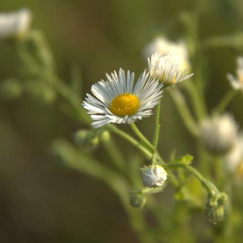Photo #10877598