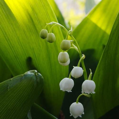 Photo #10877656