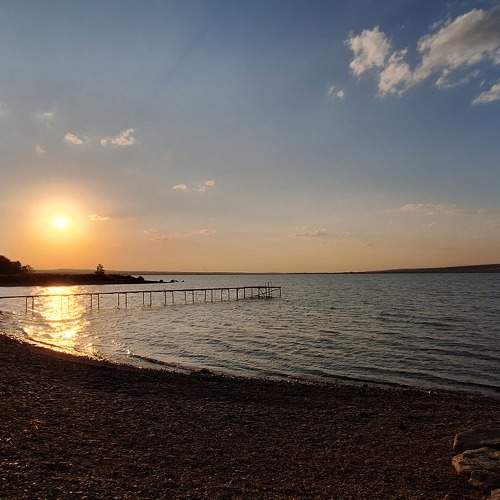 Photo #10878130