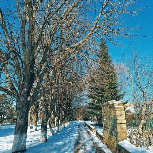 Photo #10878131