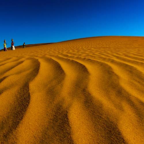 Photo #10878145