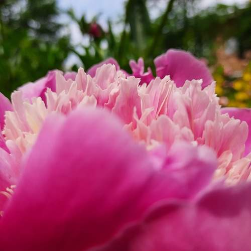 Photo #10878148