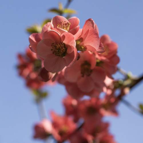 Photo #10878323