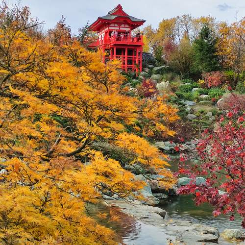 Photo #10878338