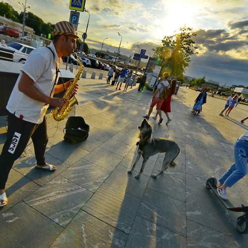Photo #10878371