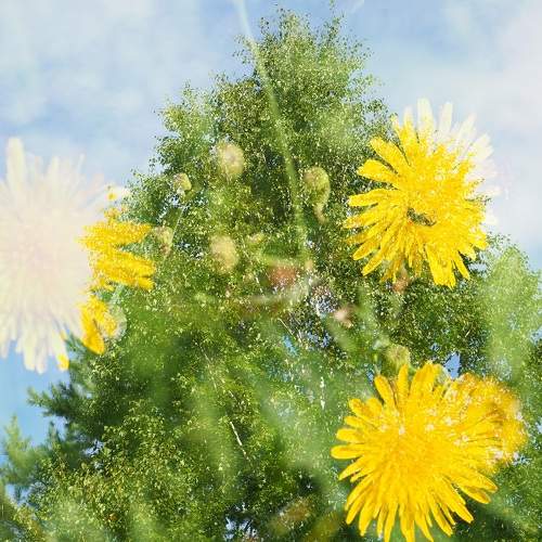 Photo #10878718