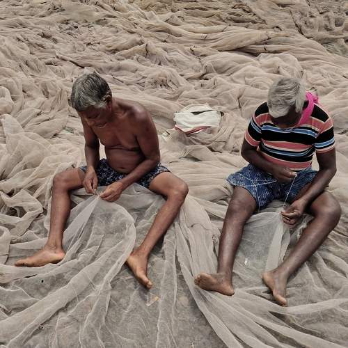 Photo #10878829