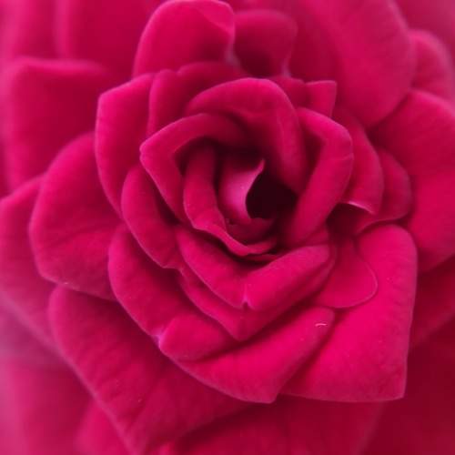 Photo #10879034