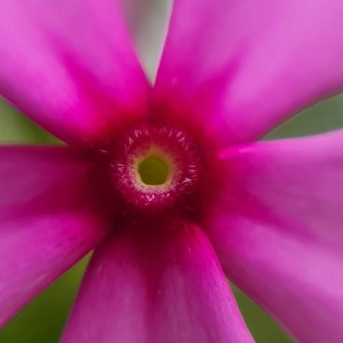Photo #10879035