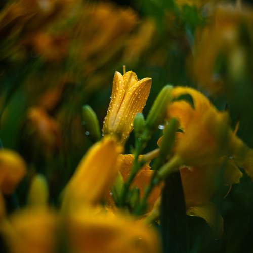 Photo #10879495
