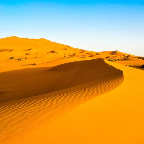 Photo #10879497