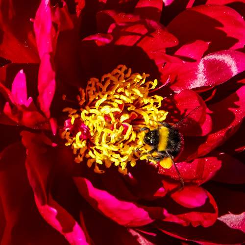 Photo #10879813
