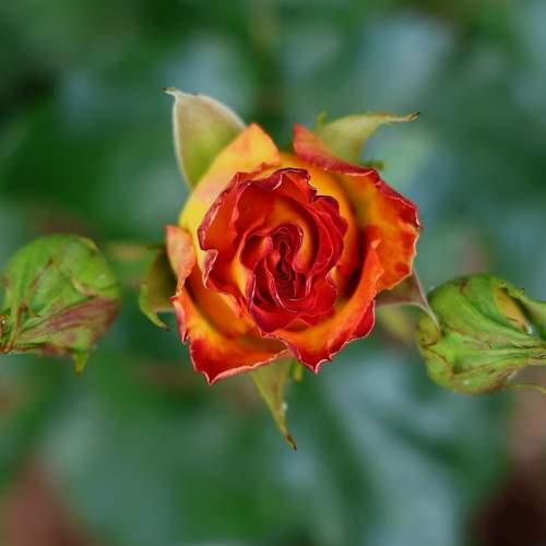 Photo #10880029