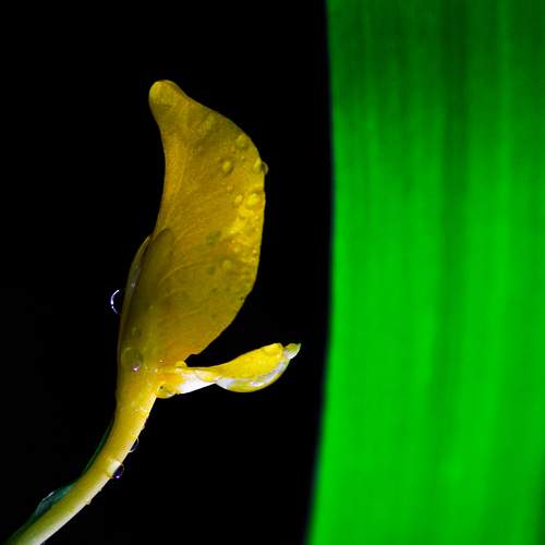 Photo #10880191