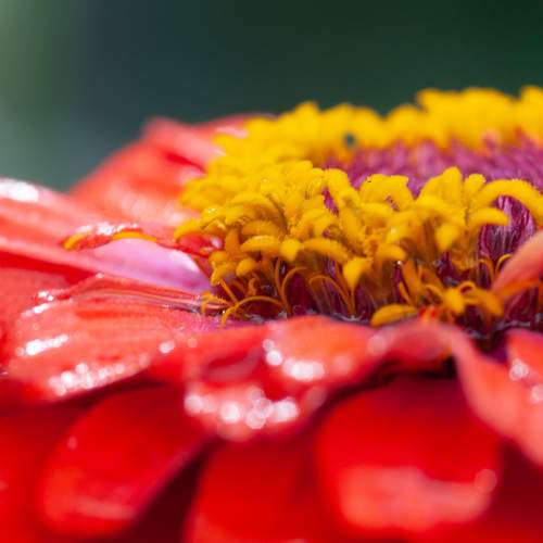 Photo #10880494