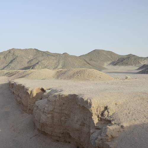 Photo #10880502