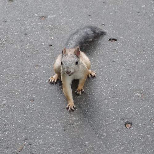 Photo #10880702