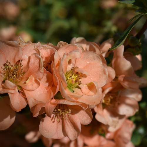 Photo #10880828