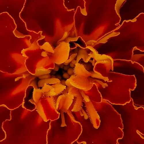 Photo #10880915
