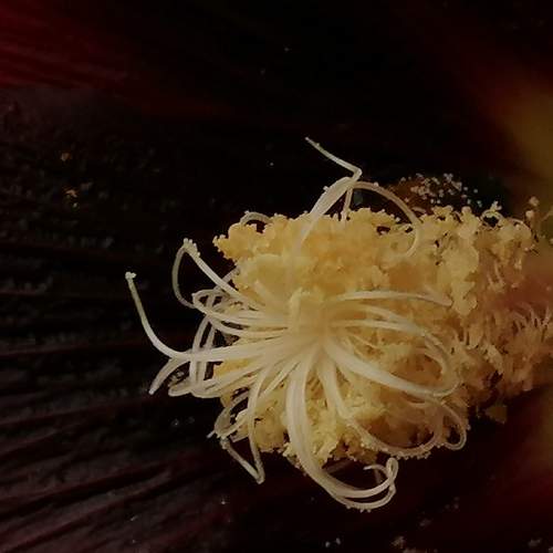 Photo #10880929