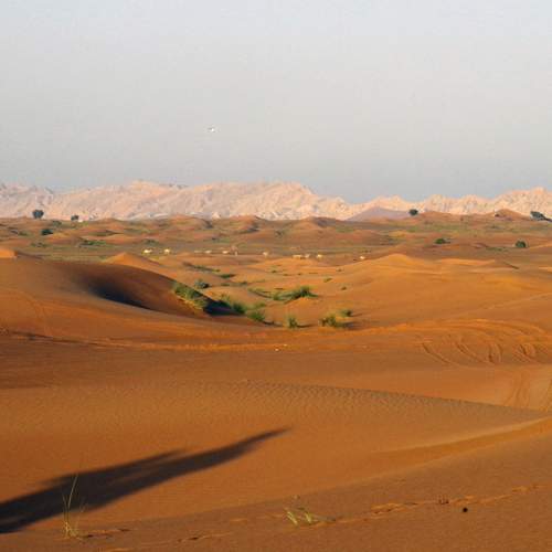 Photo #10881100