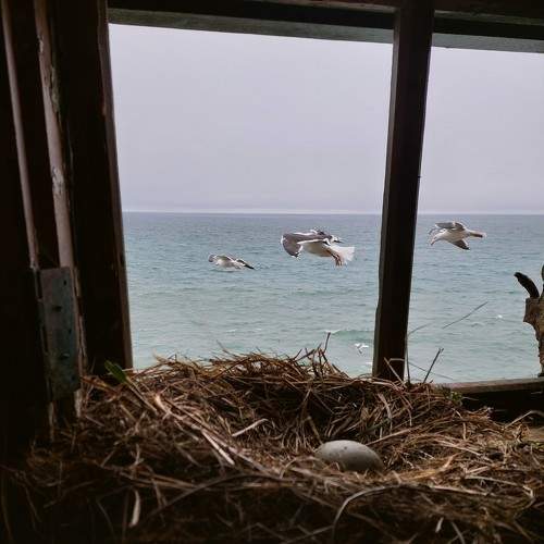 Photo #10881414