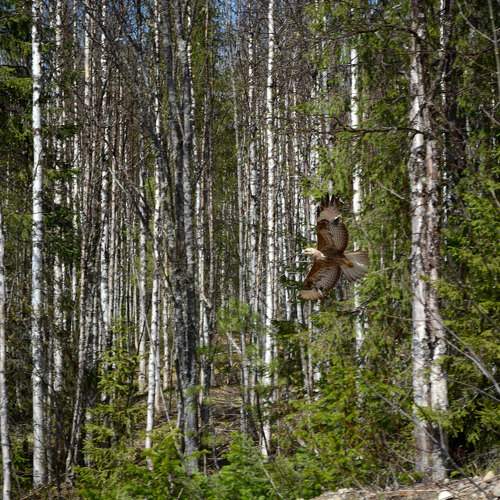 Photo #10881622