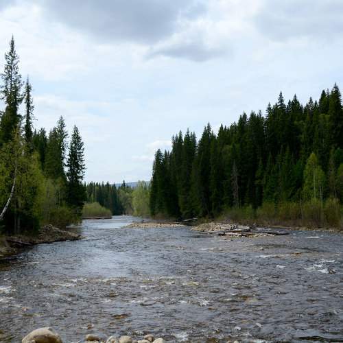 Photo #10881639