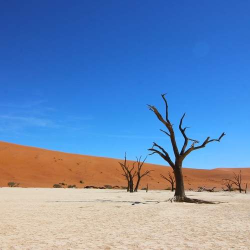 Photo #10881837