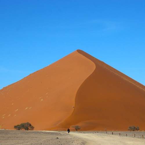 Photo #10881838