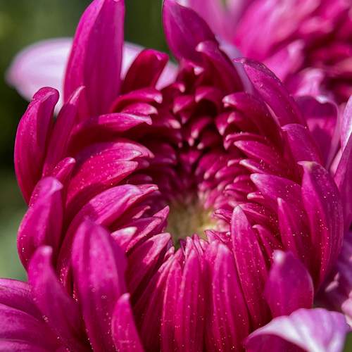 Photo #10881958