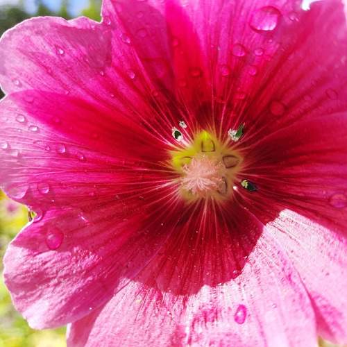 Photo #10882027